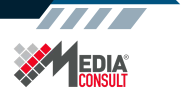 La procedura di gara e la redazione degli atti: le norme, il bando tipo, la prassi, la giurisprudenza prevalente