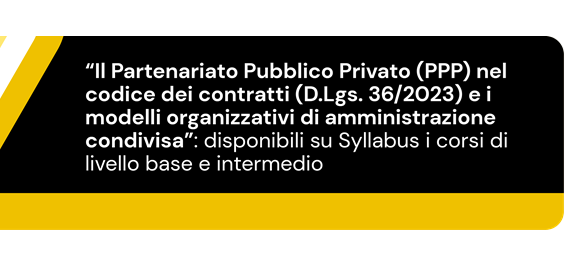 Partenariato Pubblico Privato (PPP) nel Codice dei Contratti (D.Lgs. 36/2023) e i modelli organizzativi di amministrazione condivisa